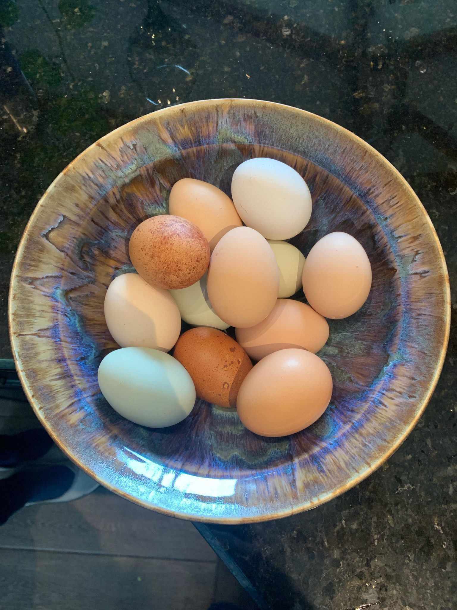 Free Range Organic Eggs